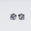 Nova Crystal Studs